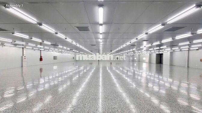 Kho xưởng khu công nghiêp long hậu ,huyện cần giuộc , Tỉnh Long An
