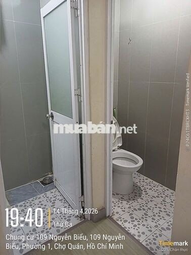 Chung cư 109 Nguyễn Biểu 61m2 2Pn Căn góc