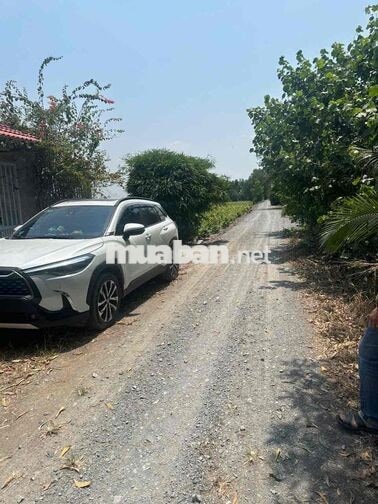 Bán đất mặt tiền Kênh 6, Bình Lợi , Bình Chánh