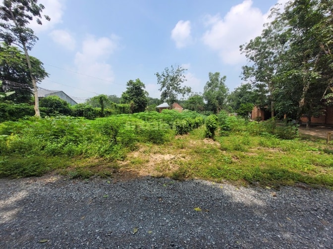 952m2 có thổ ngay cầu Thanh An, cảng Hưng Thuận. 2,1 tỷ 