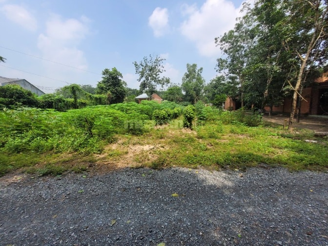 952m2 có thổ ngay cầu Thanh An, cảng Hưng Thuận. 2,1 tỷ 