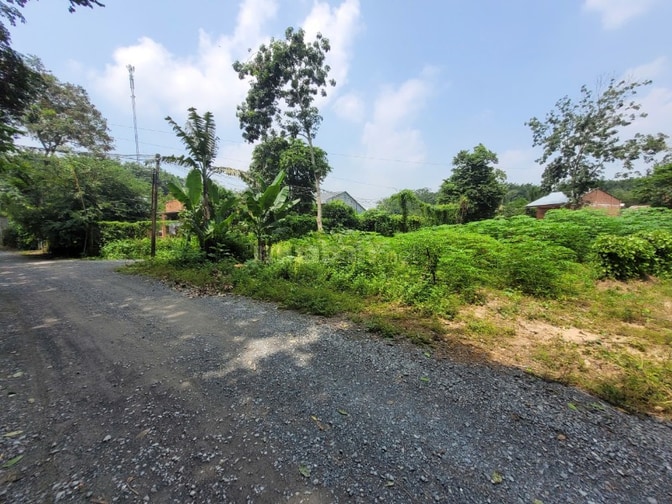 952m2 có thổ ngay cầu Thanh An, cảng Hưng Thuận. 2,1 tỷ 