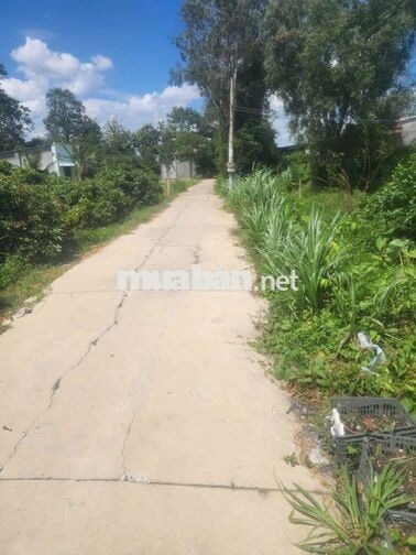 Ngang 10 dài 31. thổ cư. Bán 550tr. Gần kcn Hiệp Thạnh