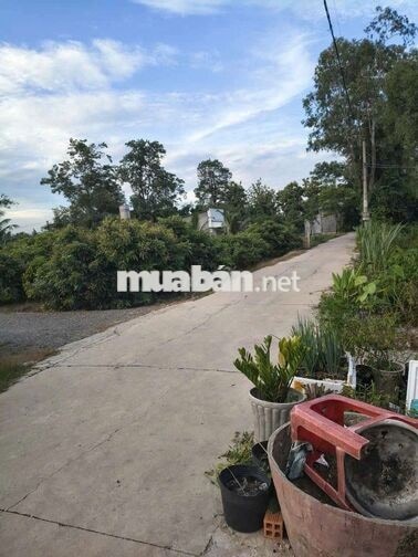 Ngang 10 dài 31. thổ cư. Bán 550tr. Gần kcn Hiệp Thạnh