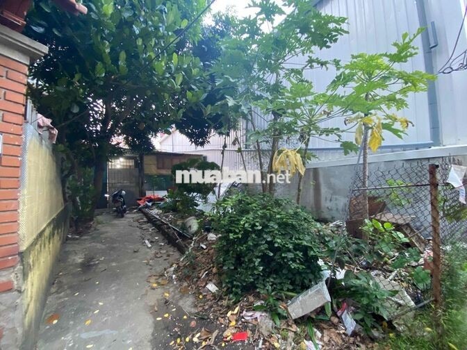 BÁN ĐẤT - ĐÀM QUANG TRUNG EON MALL LONG BIÊN - CHÂN CẦU VĨNH TUY