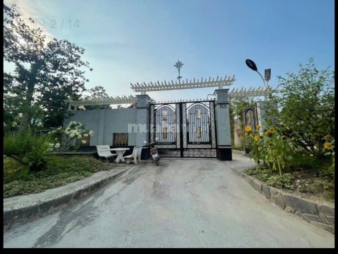 THÔNG BÁO ĐẤU GIÁ TÀI SẢN THEO THỦ TỤC RÚT GỌN