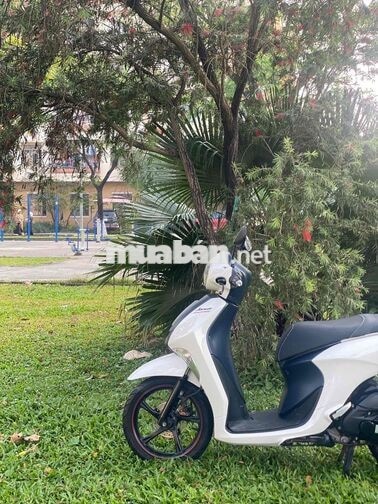 Yamaha Janus Trắng, Xám Khóa Smartkey
