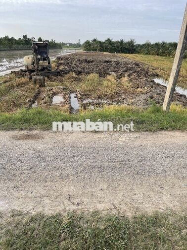 Bán 1270mv đất mặt tiền nhựa TT. Vĩnh Bình
