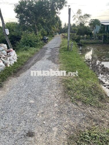 Bán 1270mv đất mặt tiền nhựa TT. Vĩnh Bình