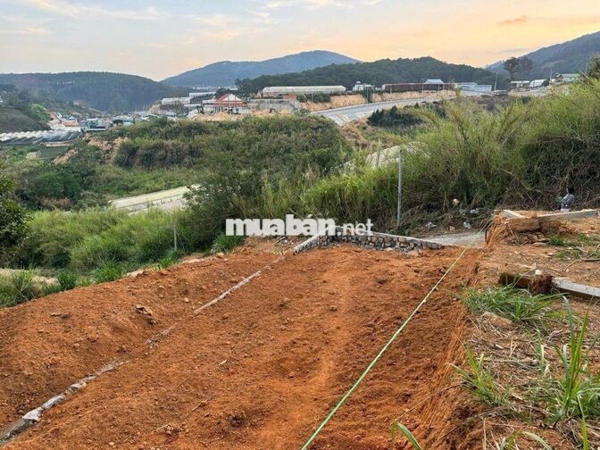 Bán lô đất (có thể lên thổ 100%)
