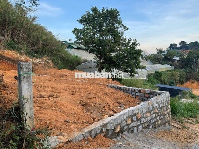 Bán lô đất (có thể lên thổ 100%)