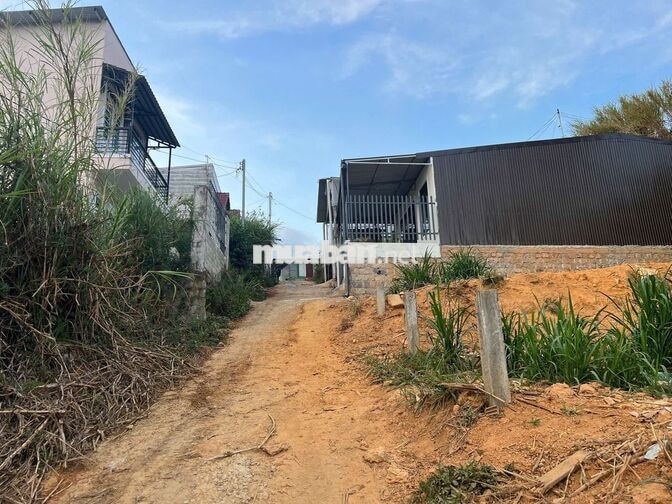 Bán lô đất (có thể lên thổ 100%)