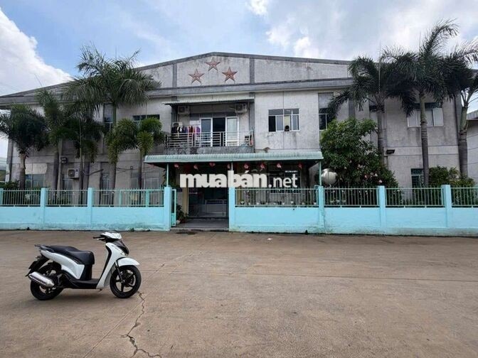 cho thuê xưởng xe cont, pccc thẩm duyêt