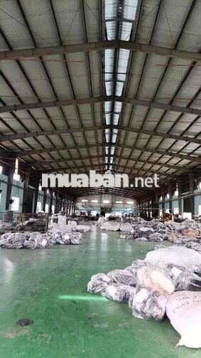 Cho Thuê kho Cụm Công Nghiệp Mỹ Hạnh long An