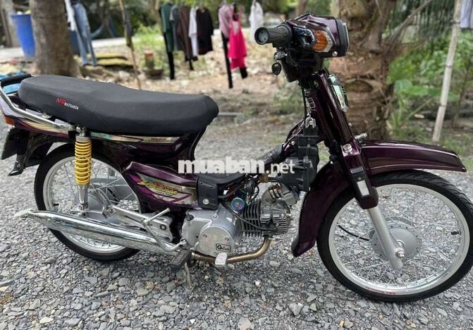 Honda Dream Tím Xe số
