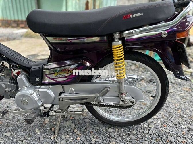 Honda Dream Tím Xe số
