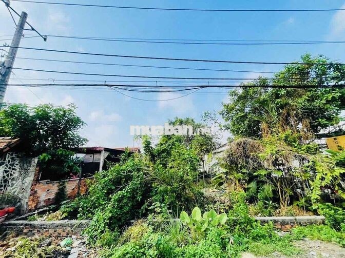 CHỦ NGỘP CẦN BÁN NHANH ĐẤT 408,5M² GẦN CHỢ VIỆT KIỀU, CỦ CHI