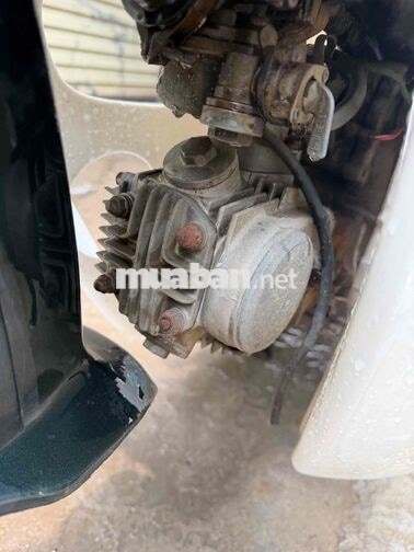 Honda Cub 82 Xanh Trắng Xe số