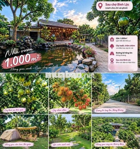 Đất Sào Cây Ăn Trái Ngay Chợ Bình Lộc - Long Khánh, Sổ Riêng, Giá Rẻ