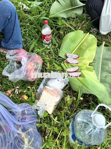 Đất Sào Cây Ăn Trái Ngay Chợ Bình Lộc - Long Khánh, Sổ Riêng, Giá Rẻ