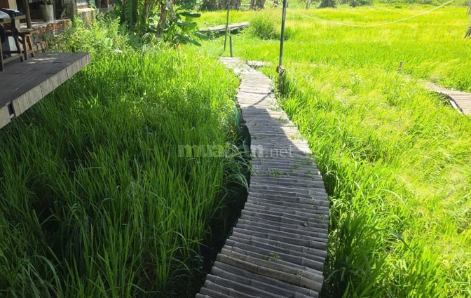 Bán hơn 350m đất gần phố cổ - giá 2,5 tỷ - view sông.