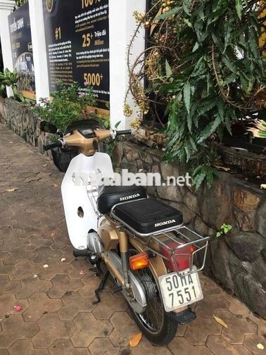 Honda Cub 84 /50cc  nữ hoàng . Bstp