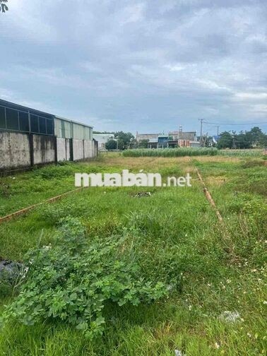 cần tiền bán gấp em cắt lỗ 400 triệu