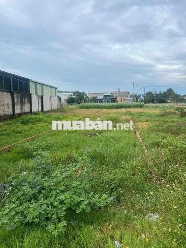 cần tiền bán gấp em cắt lỗ 400 triệu