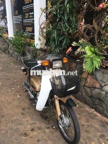 Honda Cub 84 /50cc  nữ hoàng . Bstp