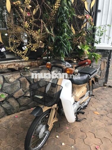 Honda Cub 84 /50cc  nữ hoàng . Bstp