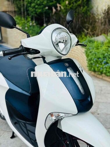Janus 125fi Limited Edition 2021 khoá smartkey