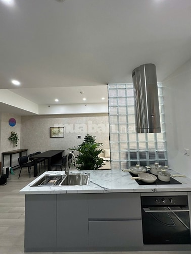 Duplex 4PN 3WC Lumière Boulevard  Vinhomes Grand Park 45 triệu/tháng