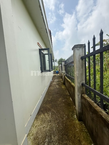 Chính chủ bán nhà vườn Tân Trụ, Long An - 2 phòng ngủ - 283 m2