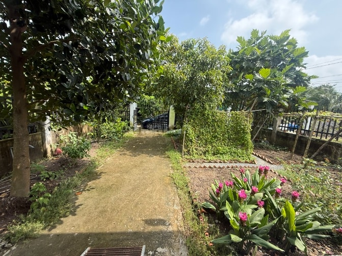 Chính chủ bán nhà vườn Tân Trụ, Long An - 2 phòng ngủ - 283 m2