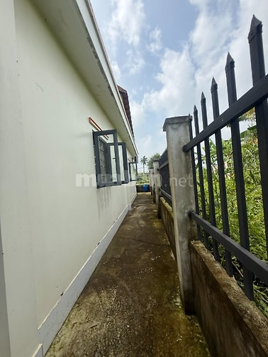 Chính chủ bán nhà vườn Tân Trụ, Long An - 2 phòng ngủ - 283 m2