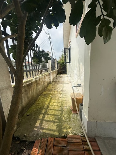 Chính chủ bán nhà vườn Tân Trụ, Long An - 2 phòng ngủ - 283 m2