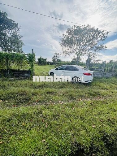 CẦN TIỀN GẤP, BÁN LỖ VỐN LÔ ĐẤT, 2 MT ĐƯỜNG XE TẢI