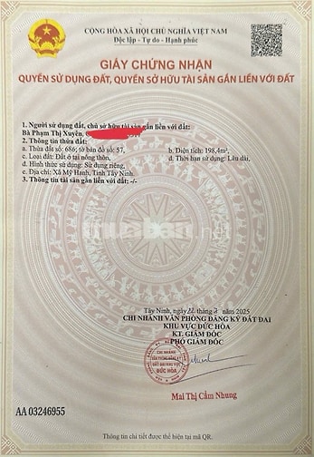CHÍNH CHỦ CHO THUÊ ĐẤT TRỐNG DÀI HẠN, KDC ĐÔNG ĐÚC, MỸ HẠNH, ĐỨC HÒA