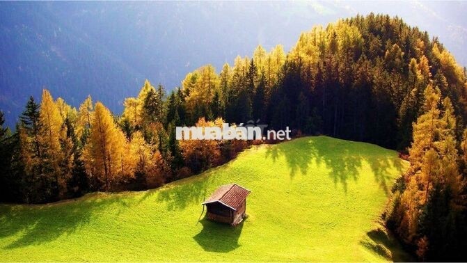 CHO THUÊ MẶT TIỀN NỘI BỘ 7 M thông KHU TÂN quý  4 x 33 M : Đúc 1 Tấm 