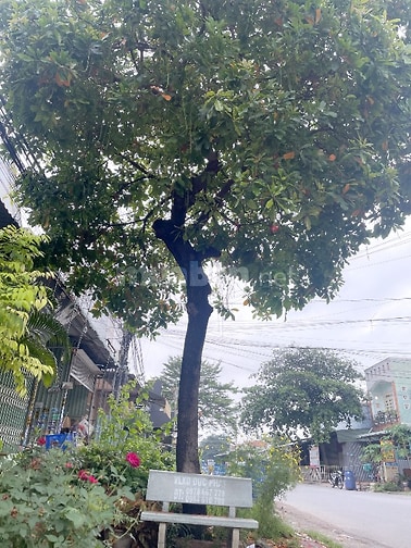 BÁN NHÀ Ở VÀ NHÀ TRỌ KDC THUẬN GIAO