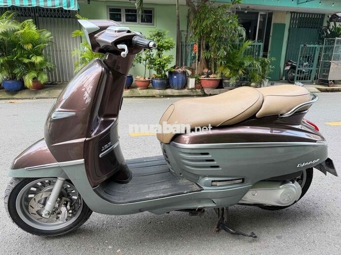 Peugeot Django 2017 Nâu Zin Đẹp