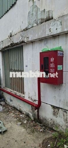 xưởng 900m² giá 80tr TL có pccc đường content 40f