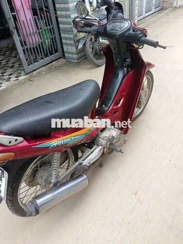 Holder 50CC đỏ