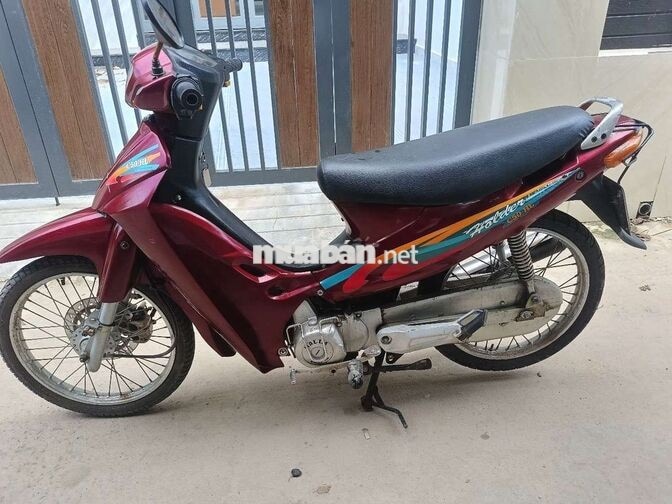  Holder 50CC đỏ
