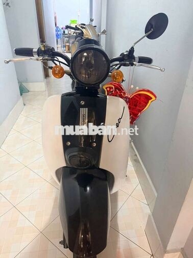 Honda Crea Scoopy Tự động Đen trắng