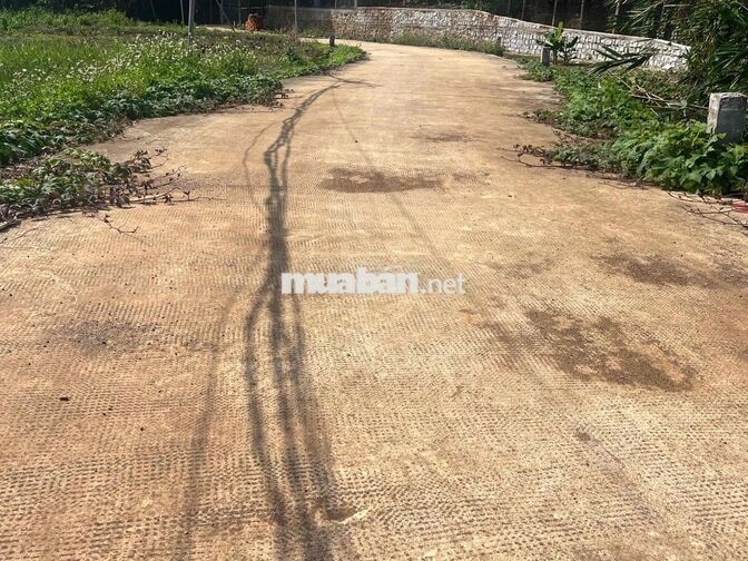 bán đất sào rẽ view suối Ngãi Giao HCM