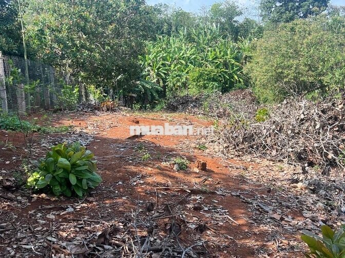 bán đất sào rẽ view suối Ngãi Giao HCM