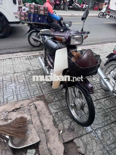 Honda Dream Thái Tím Trắng Xe số
