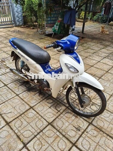 SYM Angela 50cc Trắng, Xanh Xe số