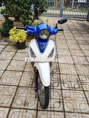 SYM Angela 50cc Trắng, Xanh Xe số